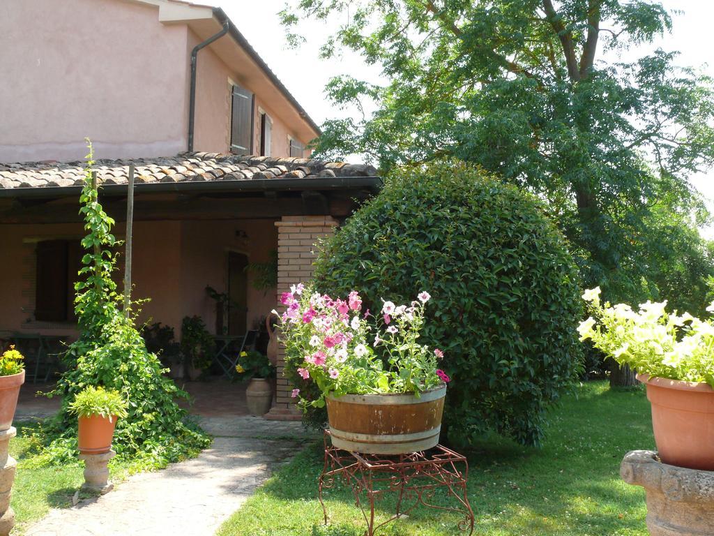 Agriturismo Da Lorena Marsiliana Eksteriør bilde