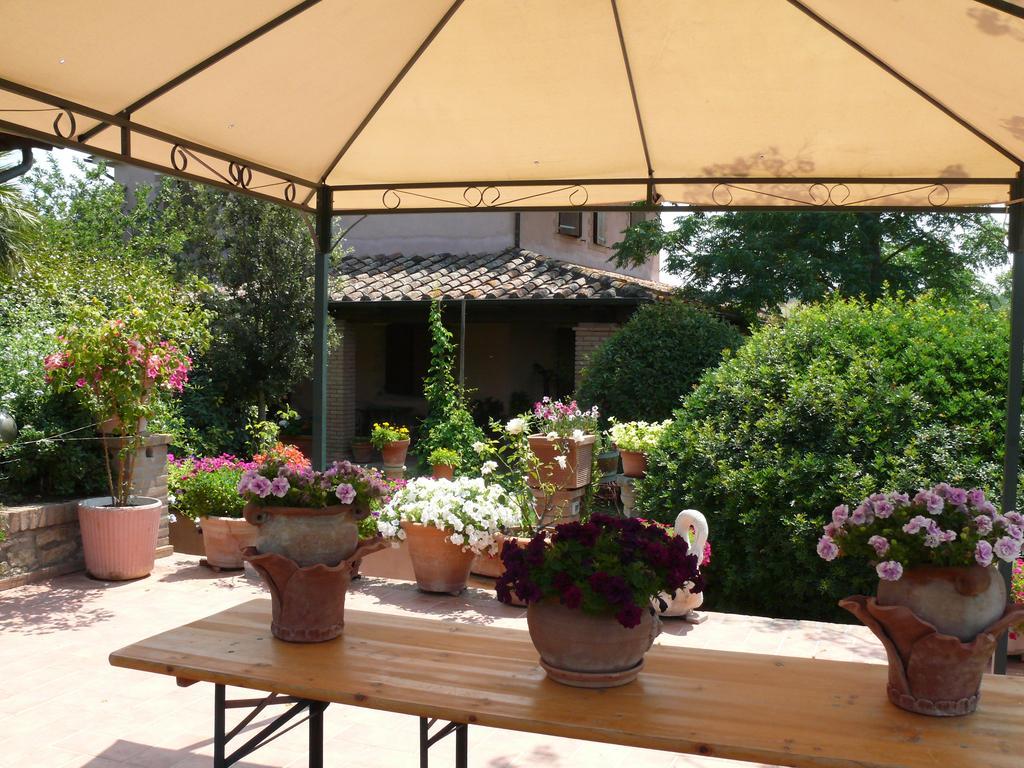 Agriturismo Da Lorena Marsiliana Eksteriør bilde