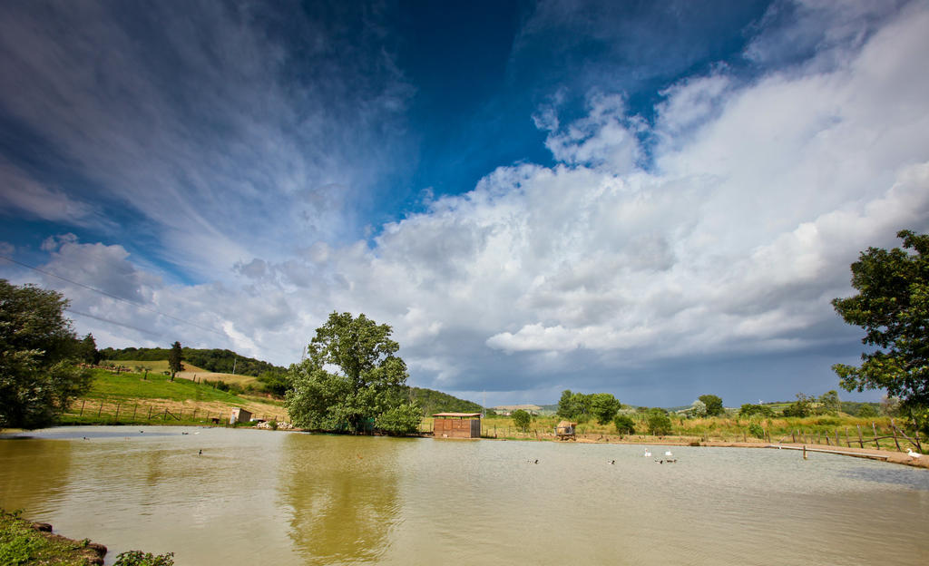 Agriturismo Da Lorena Marsiliana Eksteriør bilde