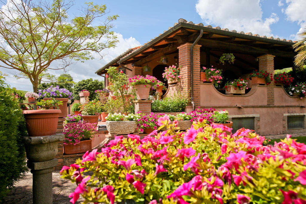 Agriturismo Da Lorena Marsiliana Eksteriør bilde